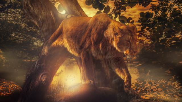 Lion forest night bright light #2 free wallpaper for desktop - medium preview image