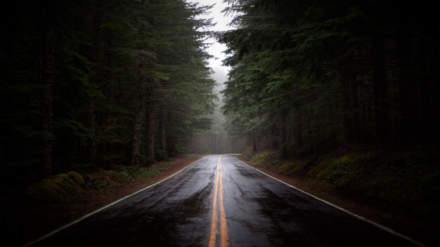 Forest road matte painting gloomy free wallpaper for desktop - medium preview image