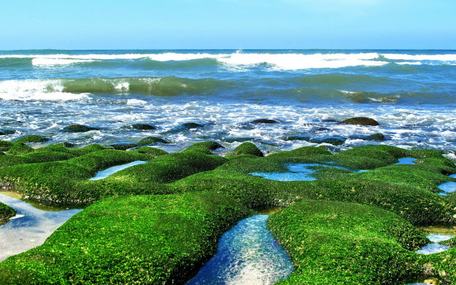 Mossy beach ocean waves blue free wallpaper for desktop - medium preview image
