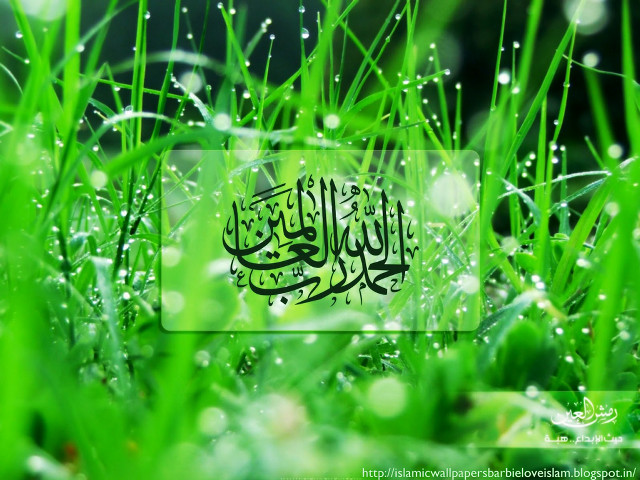 Grass person grass person grass free wallpaper for desktop - medium preview image