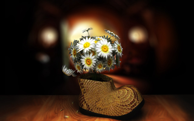 Daisy hat flower field moon free wallpaper for desktop - medium preview image