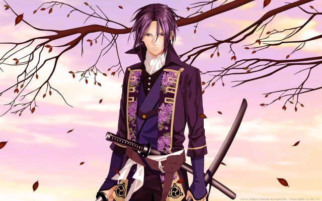Man purple outfit holding sword free wallpaper for desktop - medium preview image