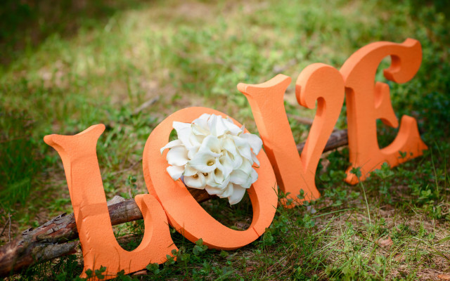 Wooden sign love flowers forest free wallpaper for desktop - medium preview image