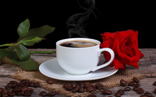 Coffee rose stilllife food morning free wallpaper for desktop - medium preview image