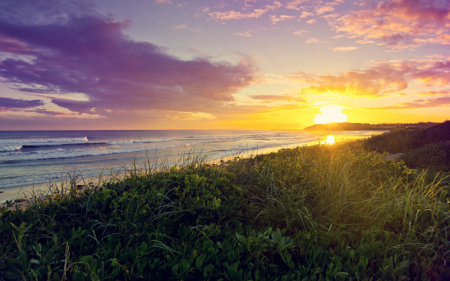 Sunset beach surfboard grassy horizon free wallpaper for desktop - medium preview image