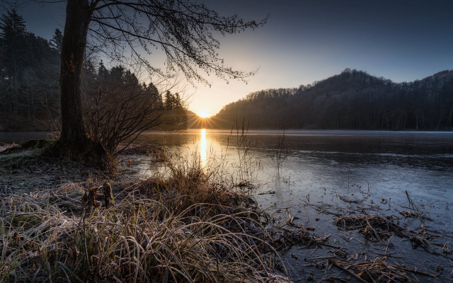 Lake tree sunset clouds forest #3 free wallpaper for desktop - medium preview image