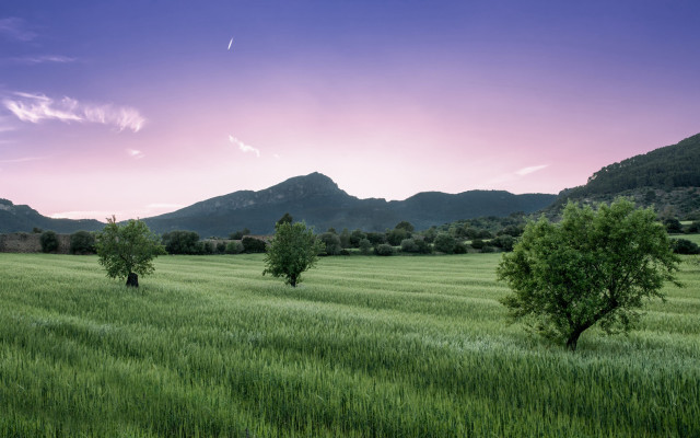 Pink sky mountains lake trees free wallpaper for desktop - medium preview image