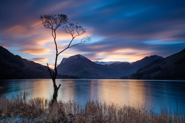 Lone tree lake sunset mountains #2 free wallpaper for desktop - medium preview image