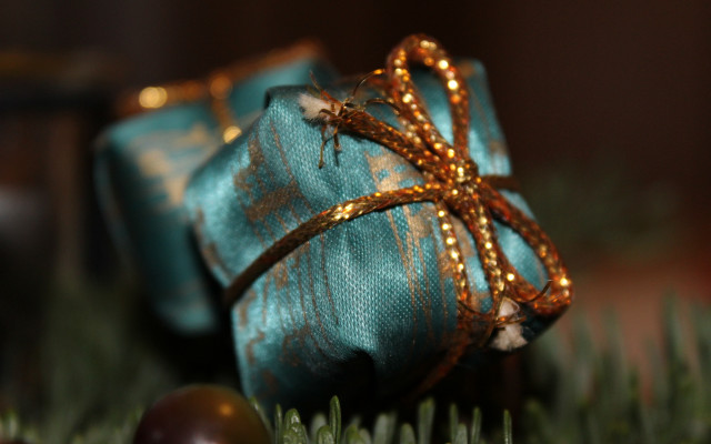 Blue present green branch bow free wallpaper for desktop - medium preview image