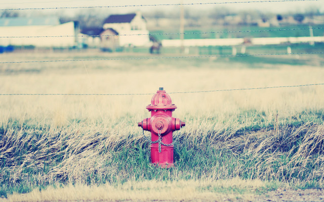 Fire hydrant grass fence house free wallpaper for desktop - medium preview image