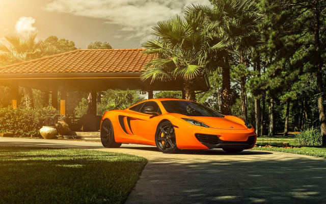 Bright orange sports car palm free wallpaper for desktop - medium preview image