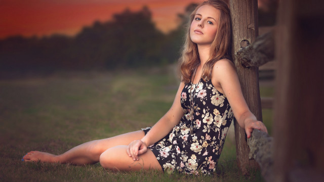 Woman sitting tree field sunset free wallpaper for desktop - medium preview image