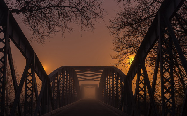 Bridge light fog night trees free wallpaper for desktop - medium preview image