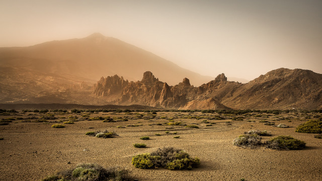 Desert mountain bushes sunset ocean free wallpaper for desktop - medium preview image