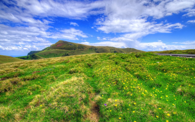 Grassy field yellow flowers mountain free wallpaper for desktop - medium preview image