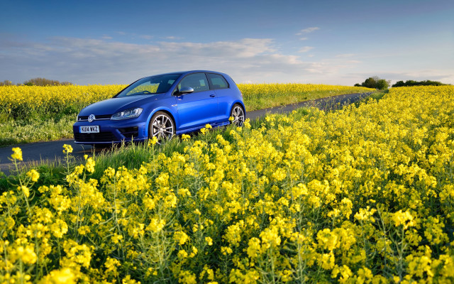 Blue car field summer autumn free wallpaper for desktop - medium preview image
