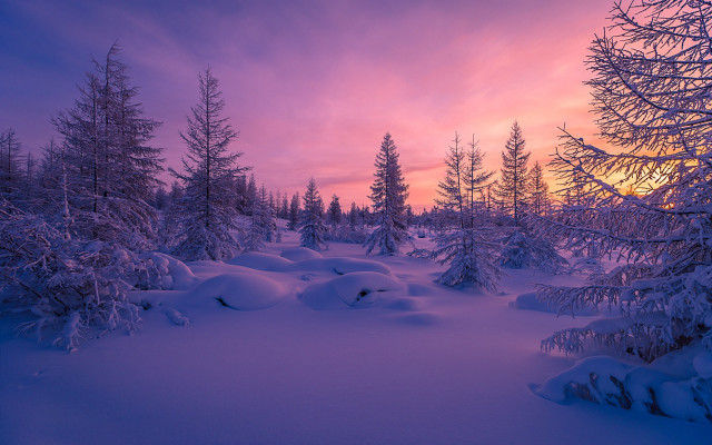 Snowy landscape trees sunset clouds #6 free wallpaper for desktop - medium preview image