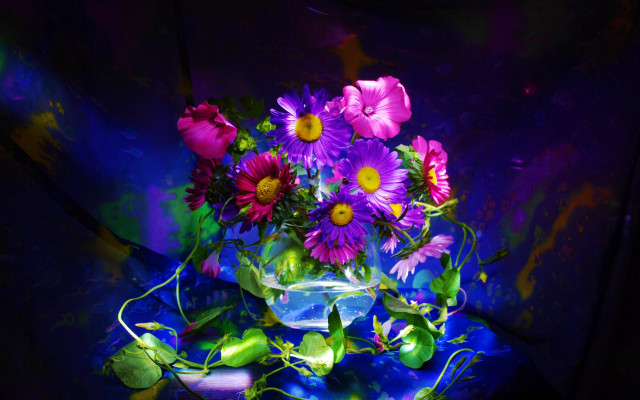 Vase purple yellow flowers tabletop free wallpaper for desktop - medium preview image