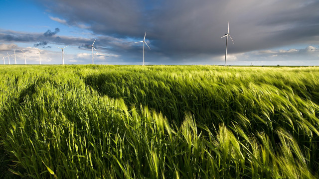 Green field wind turbines blue free wallpaper for desktop - medium preview image