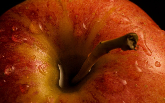 Red apple water drops macro free wallpaper for desktop - medium preview image