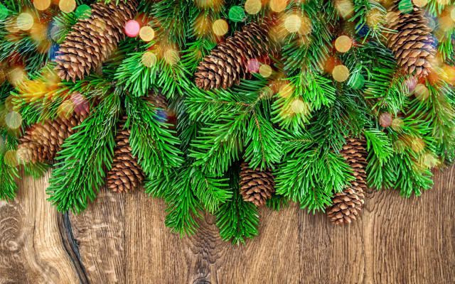 Pine cones pine needles wooden #2 free wallpaper for desktop - medium preview image