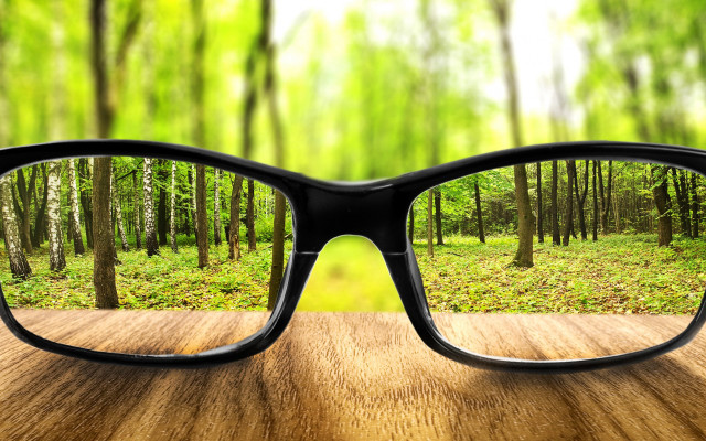 Glasses wooden table forest trees free wallpaper for desktop - medium preview image