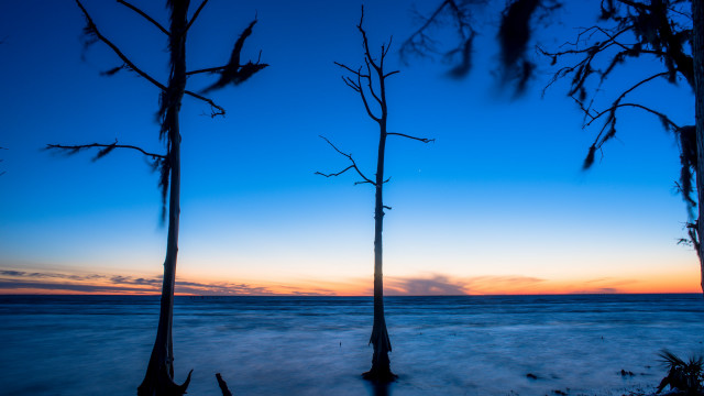 Sunset water trees clouds beach free wallpaper for desktop - medium preview image