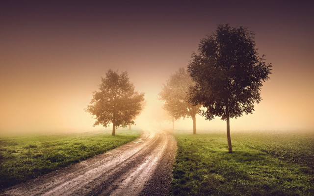 Dirt road trees fog sunset free wallpaper for desktop - medium preview image