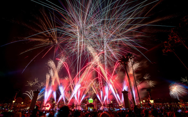 Fireworks crowd night city reflection free wallpaper for desktop - medium preview image