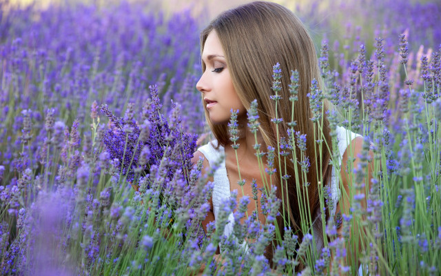 Lavender field woman sky hair free wallpaper for desktop - medium preview image