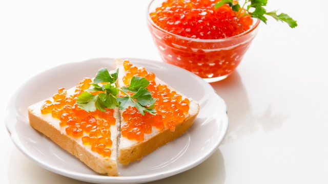 Plate bread jelly garnish rayonism free wallpaper for desktop - medium preview image