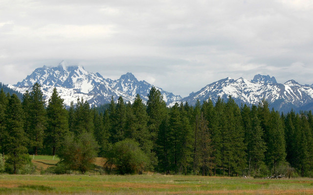 Horse grazing mountains blue sky free wallpaper for desktop - medium preview image