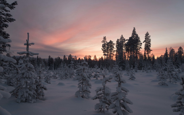 Snowy landscape trees sunset clouds #4 free wallpaper for desktop - medium preview image