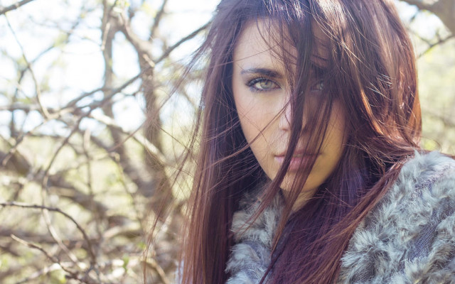 Woman long hair tree blossoms free wallpaper for desktop - medium preview image