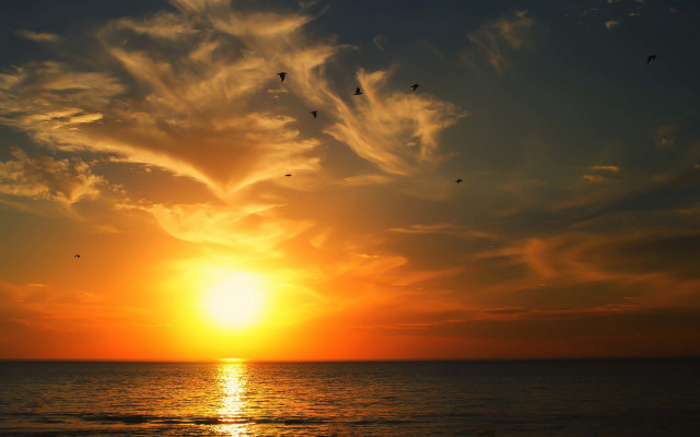 Sunset birds ocean sky clouds free wallpaper for desktop - medium preview image