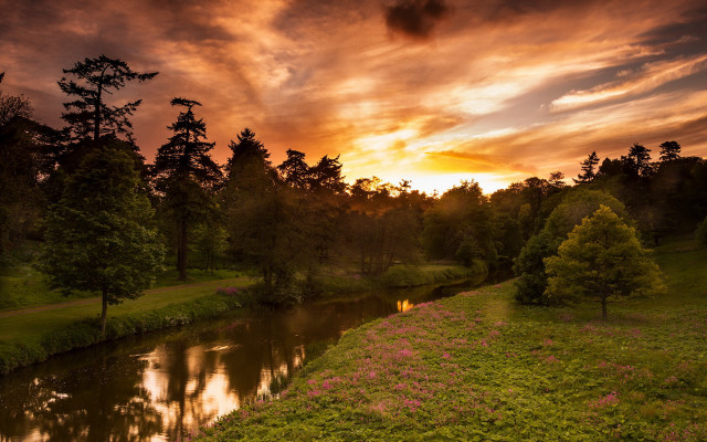 River forest sunset pinkflowers naturallism free wallpaper for desktop - medium preview image