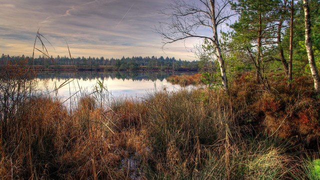 Lake trees grass clouds autumn free wallpaper for desktop - medium preview image