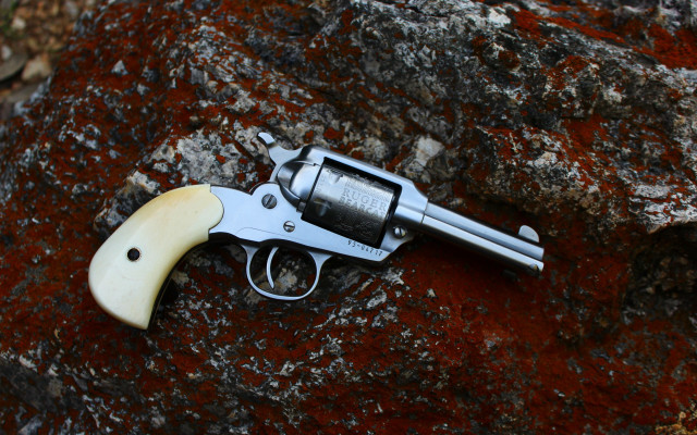 Revolver rock mossy background autumn free wallpaper for desktop - medium preview image