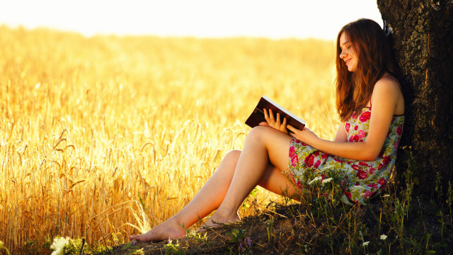 Woman sitting under tree reading free wallpaper for desktop - medium preview image