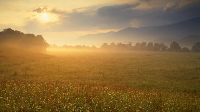 Sunset mountains horse beach city free wallpaper for desktop - medium preview image