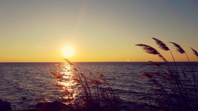 Sunset ocean plant boat sky free wallpaper for desktop - medium preview image