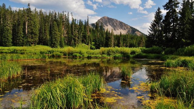 Small pond trees mountain clouds free wallpaper for desktop - medium preview image