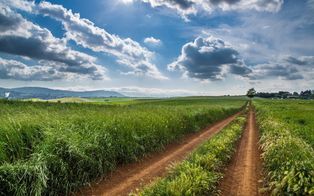 Dirt road field clouds sky #2 free wallpaper for desktop - medium preview image