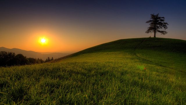 Grassy hill tree sunset landscape free wallpaper for desktop - medium preview image