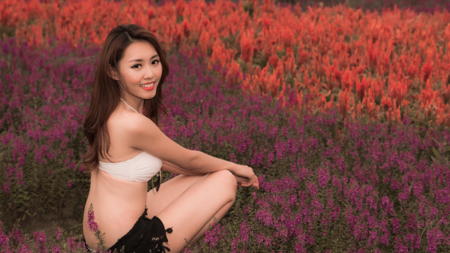 Woman bikini flower field autumn free wallpaper for desktop - medium preview image