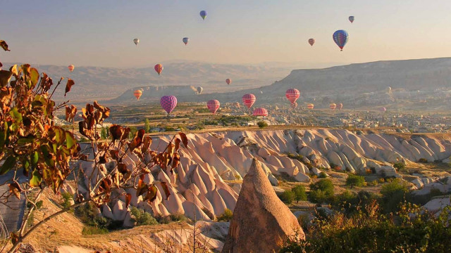 Hot air balloons valley mountains free wallpaper for desktop - medium preview image