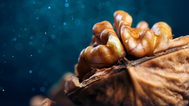 Nuts water droplets table bokeh free wallpaper for desktop - medium preview image