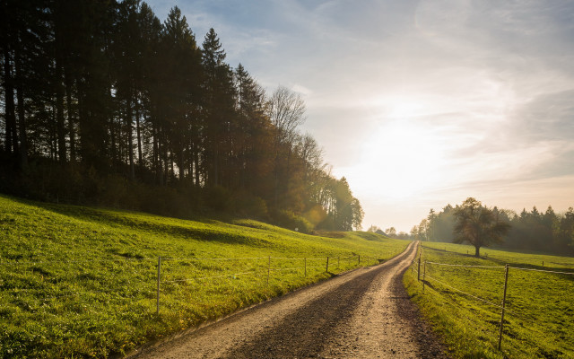 Dirtroad lushfield forest sunset city free wallpaper for desktop - medium preview image