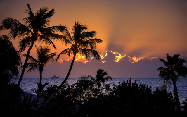 Sunset palm trees boat cloudy free wallpaper for desktop - medium preview image