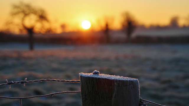 Fence sunset field trees macro free wallpaper for desktop - medium preview image